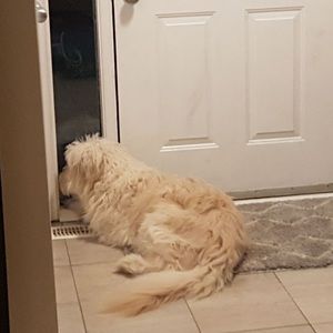 Meet your Posher, Angelina